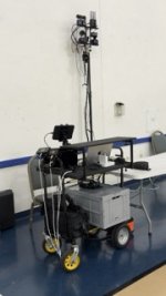Cart in use 1.jpeg